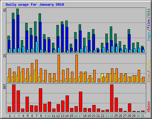 Daily usage for January 2010