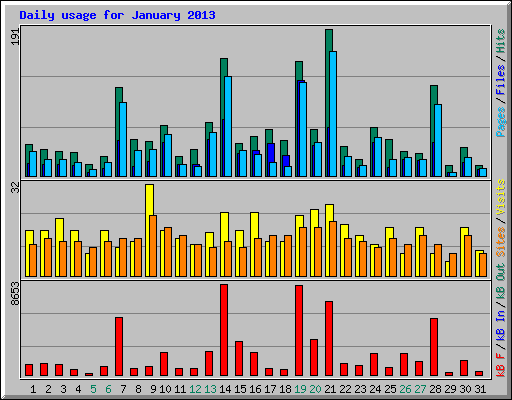 Daily usage for January 2013