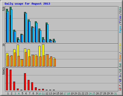 Daily usage for August 2013