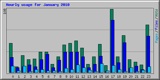 Hourly usage for January 2010