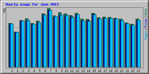 Hourly usage for June 2013